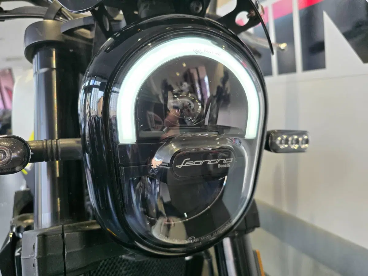 Benelli Leoncino 250 (2021 - 25) (9)