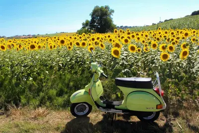 Piaggio PX 125 d'epoca