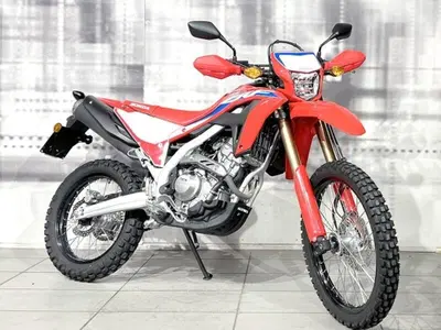 Honda CRF 300L (2021 - 24) usata