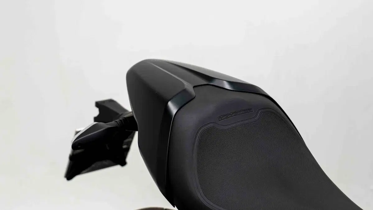 Ducati Monster 797 Plus (2019) (10)