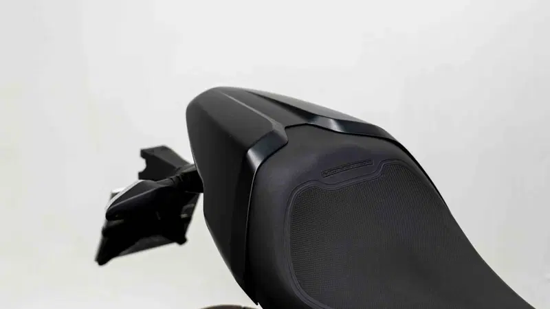Ducati Monster 797 Plus (2019) (10)