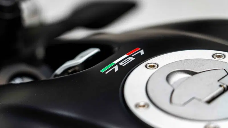 Ducati Monster 797 Plus (2019) (12)