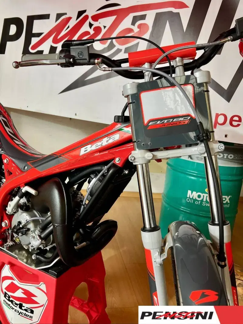 Betamotor Evo 80 Junior (2025 - 26) (5)