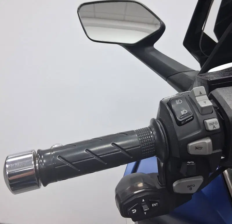 Honda Forza 350 Deluxe (2022 - 24) (5)