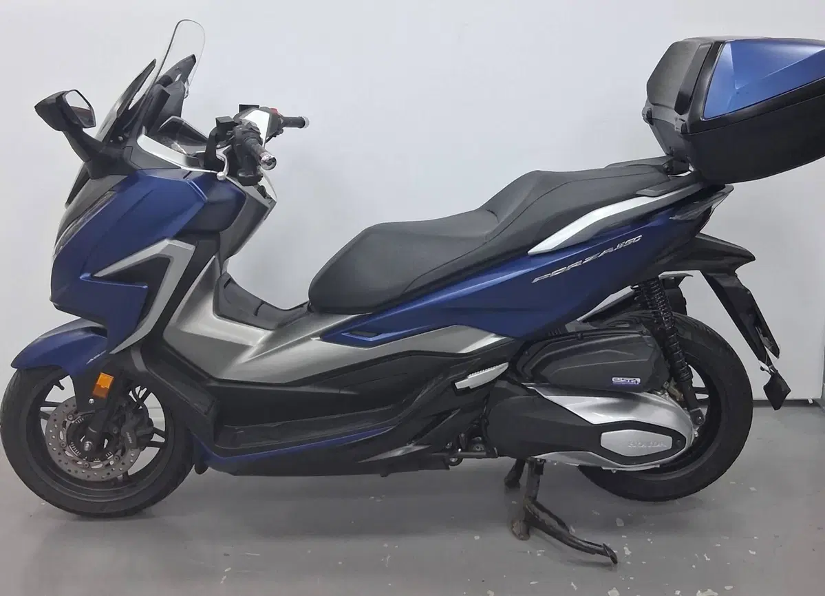Honda Forza 350 Deluxe (2022 - 24) (3)