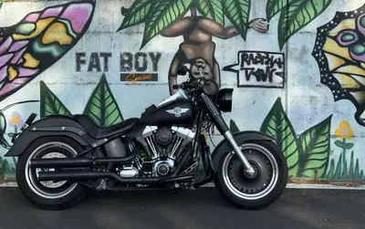 Harley-Davidson 1584 Fat Boy (2008 - 10) - FLSTF usata
