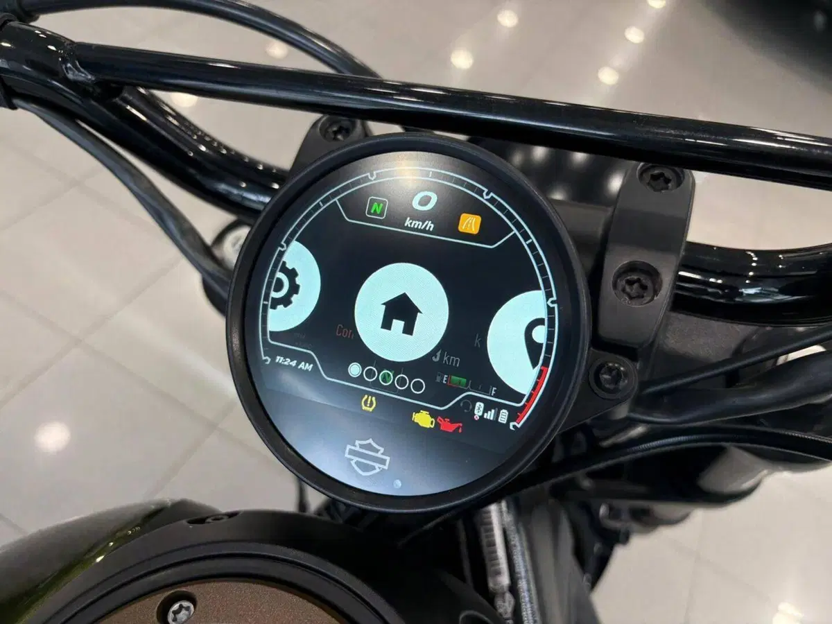 Harley-Davidson Sportster S (2022 - 24) (13)
