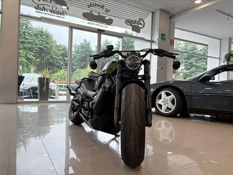 Harley-Davidson Sportster S (2022 - 24) (4)