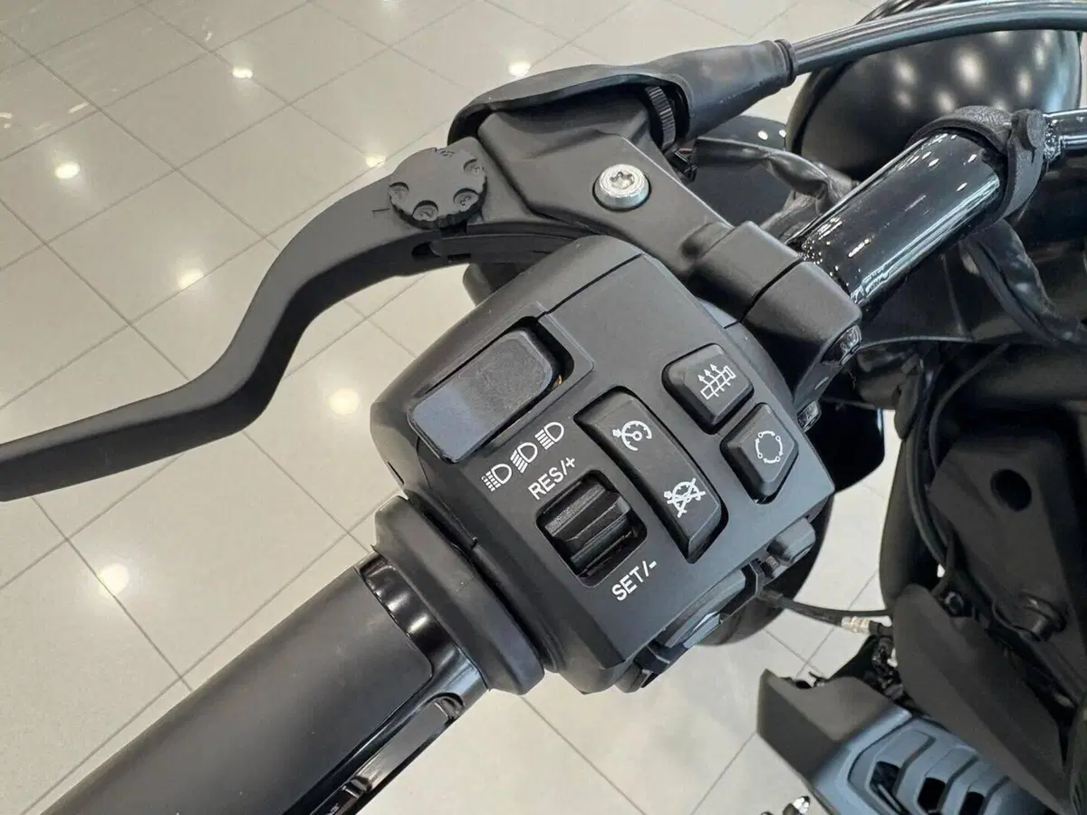 Harley-Davidson Sportster S (2022 - 24) (17)