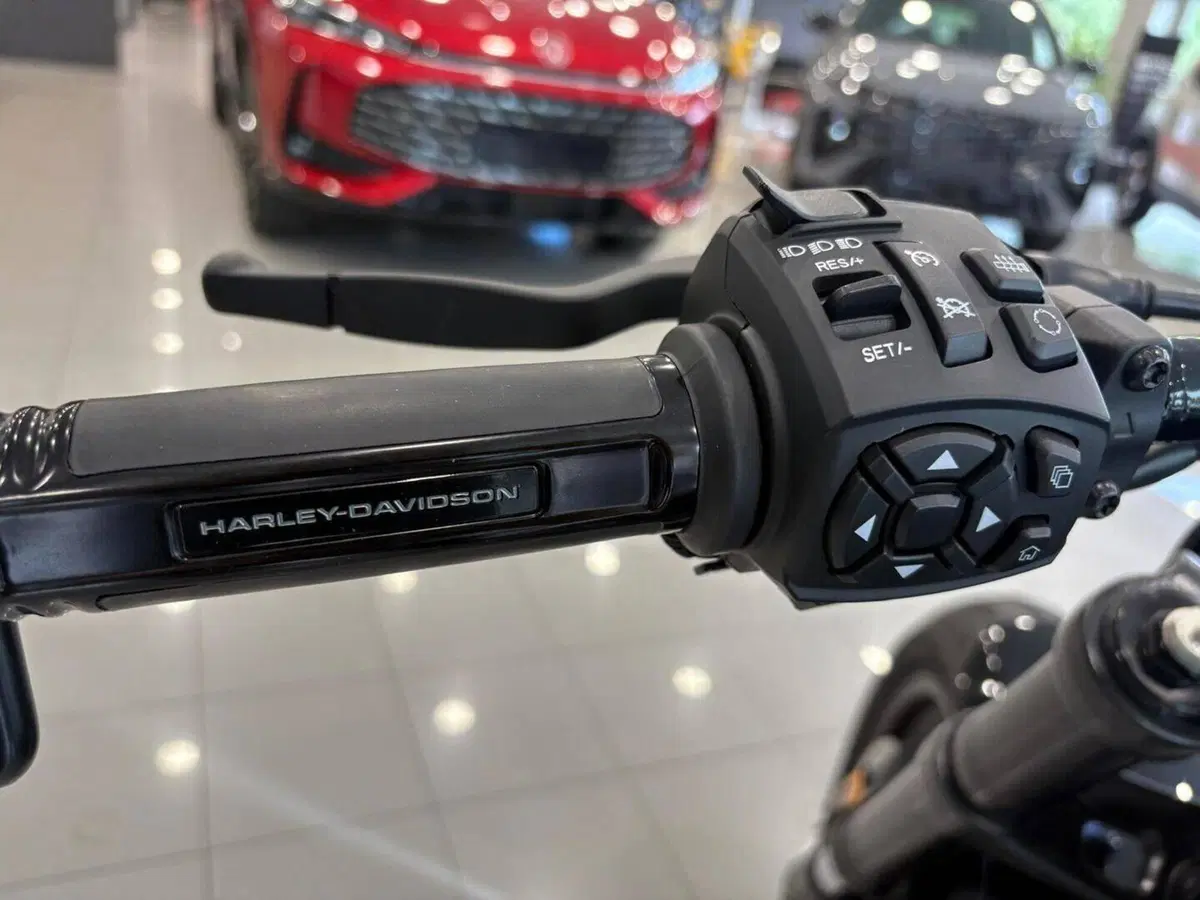 Harley-Davidson Sportster S (2022 - 24) (15)