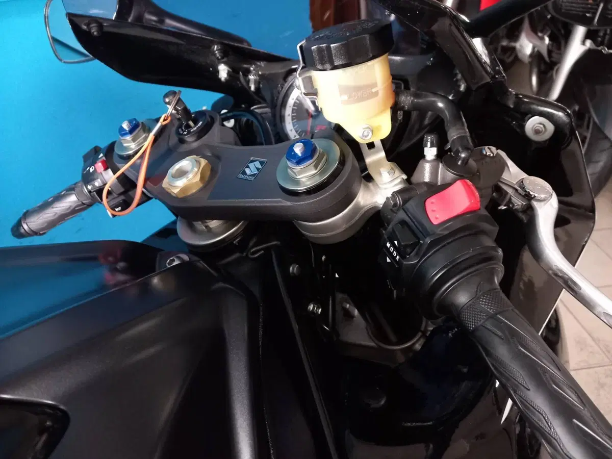 Suzuki GSX R 750 (2008 - 10) (17)