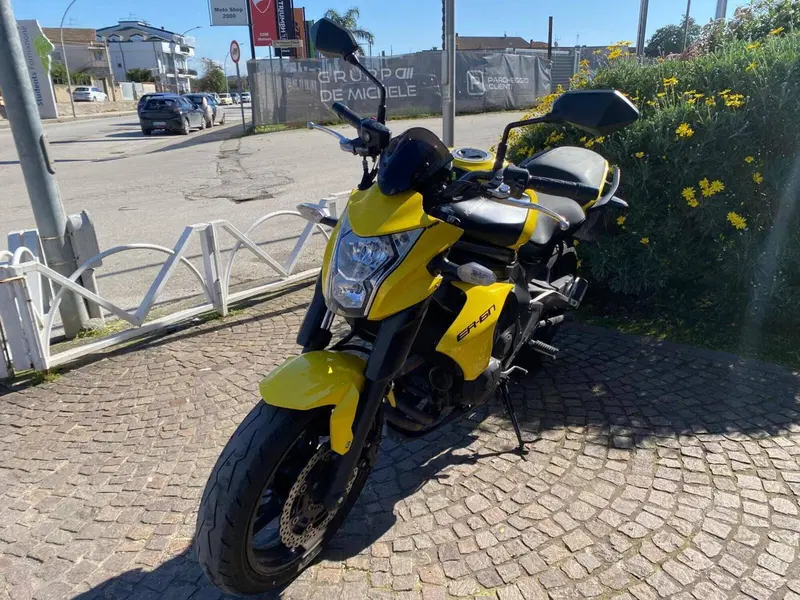 Kawasaki ER-6N (2012 - 13) (4)