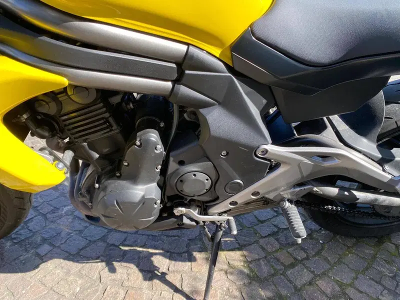 Kawasaki ER-6N (2012 - 13) (7)