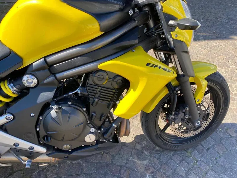 Kawasaki ER-6N (2012 - 13) (5)