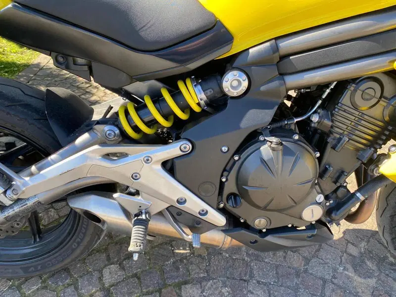 Kawasaki ER-6N (2012 - 13) (9)