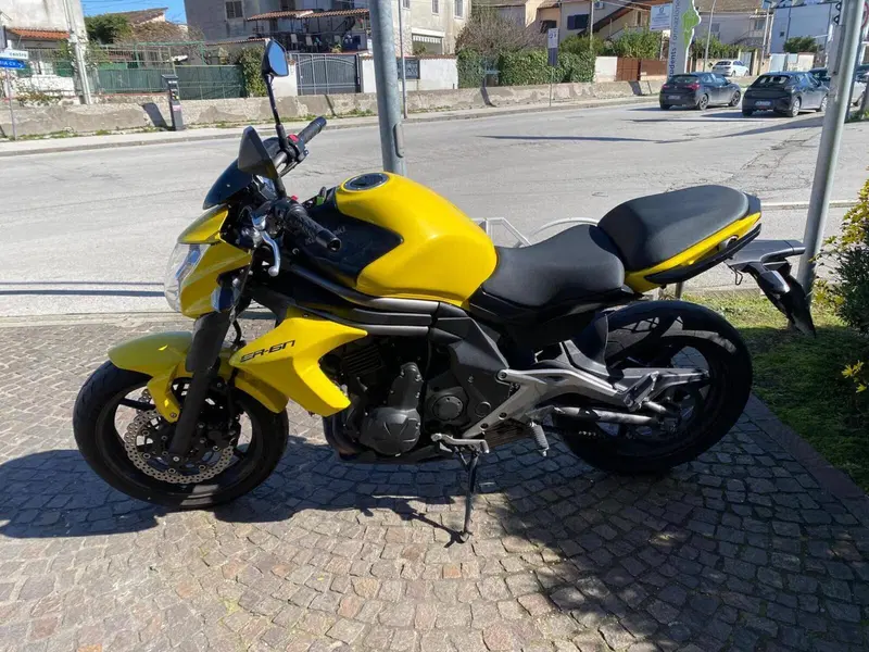 Kawasaki ER-6N (2012 - 13) (2)