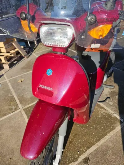 Piaggio Free 50 FD Businnes usata