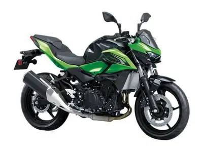 Kawasaki Z 500 (2024 - 26) nuova