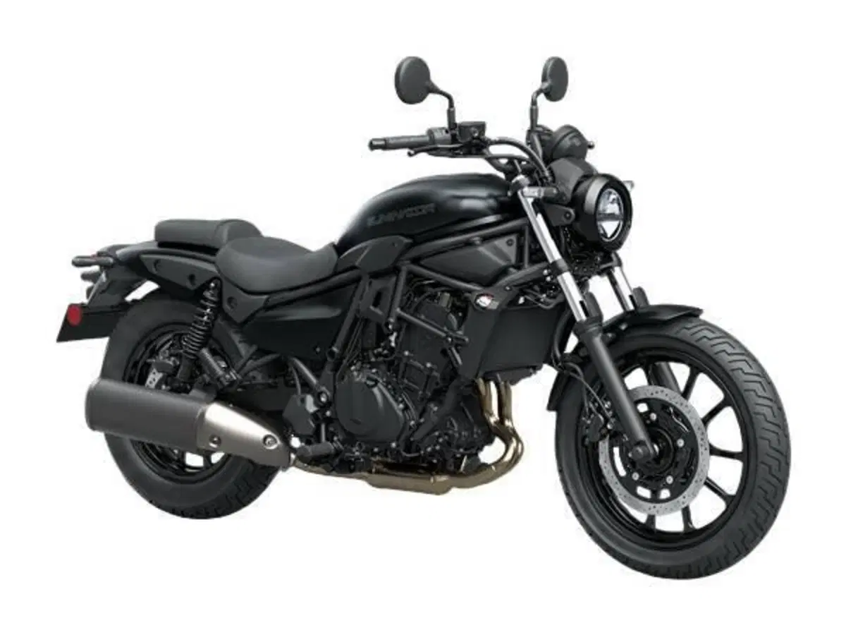 Kawasaki Eliminator 500 (2024 - 26) (2)