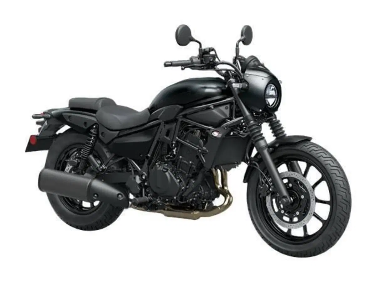 Kawasaki Eliminator 500 SE (2024 - 26)
