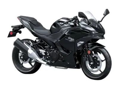 Kawasaki Ninja 500 (2024 - 26) nuova