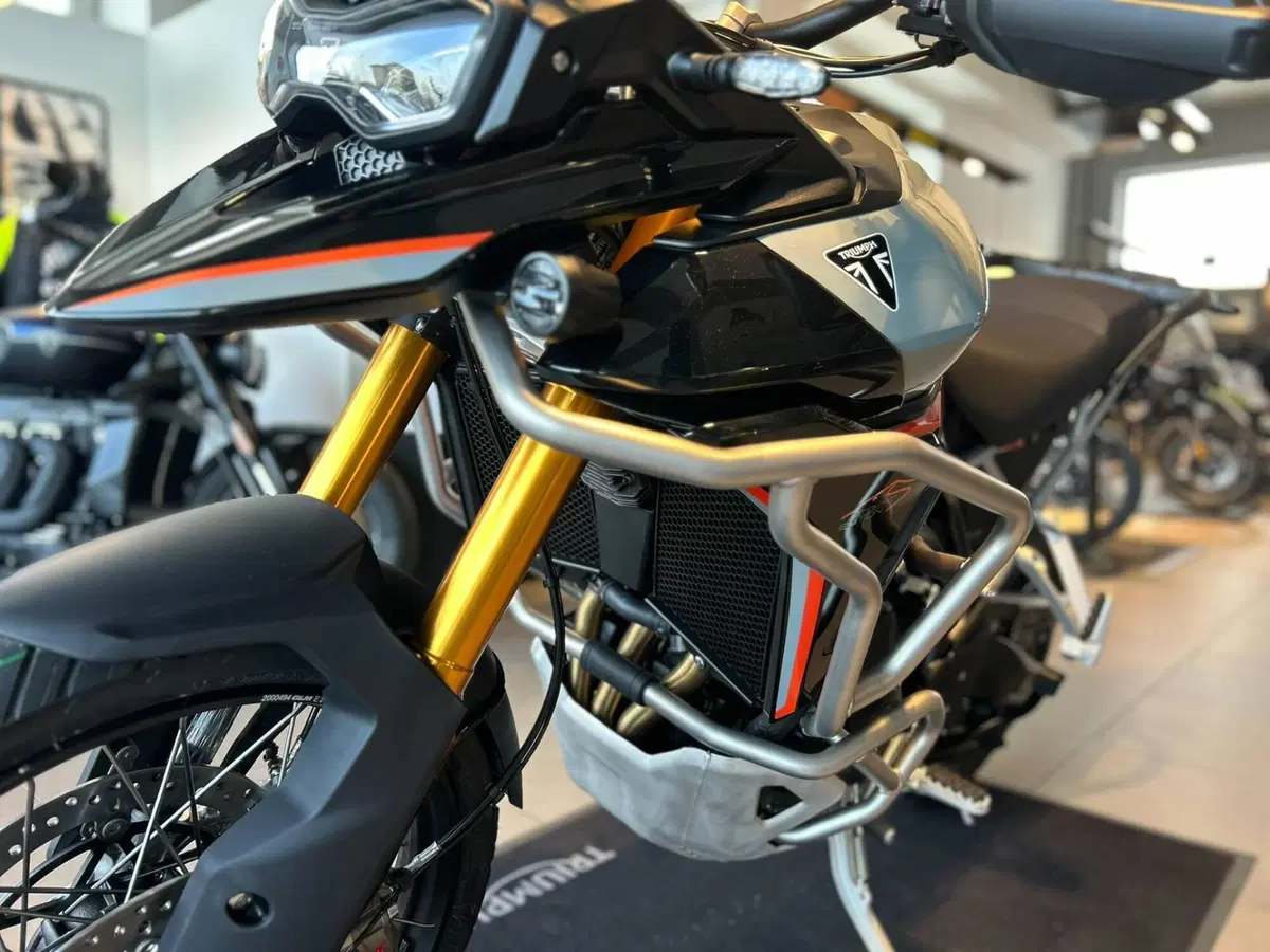 Triumph Tiger 900 Desert Special Edition (2026) (5)