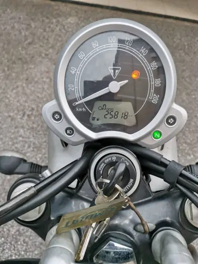 Triumph Street Twin 900 (2016) usata