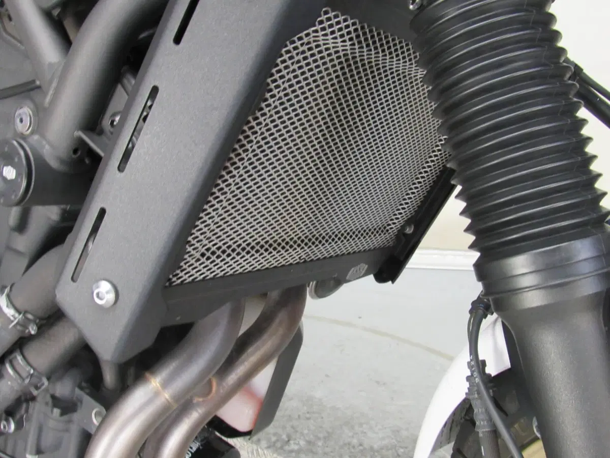 Yamaha XSR 700 XTribute (2019 - 20) (15)