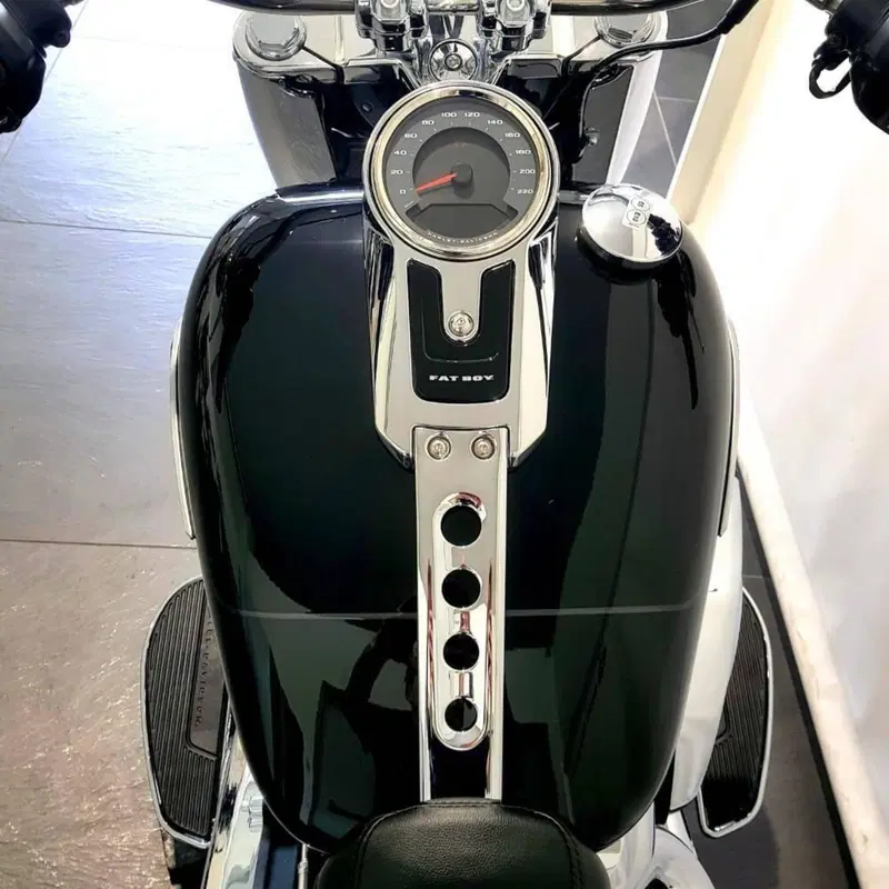 Harley-Davidson Fat Boy 117 (2025 - 26) (6)
