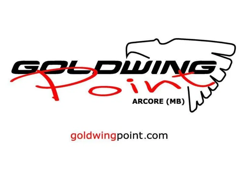 Honda GL 1800 Gold Wing Tour 50° Anniversario (2025 - 26) (19)