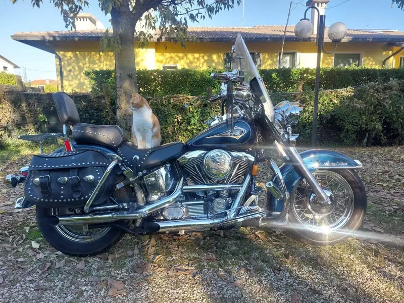 Harley-Davidson 1340 Heritage Classic (1984 - 98) - FLSTC (2)