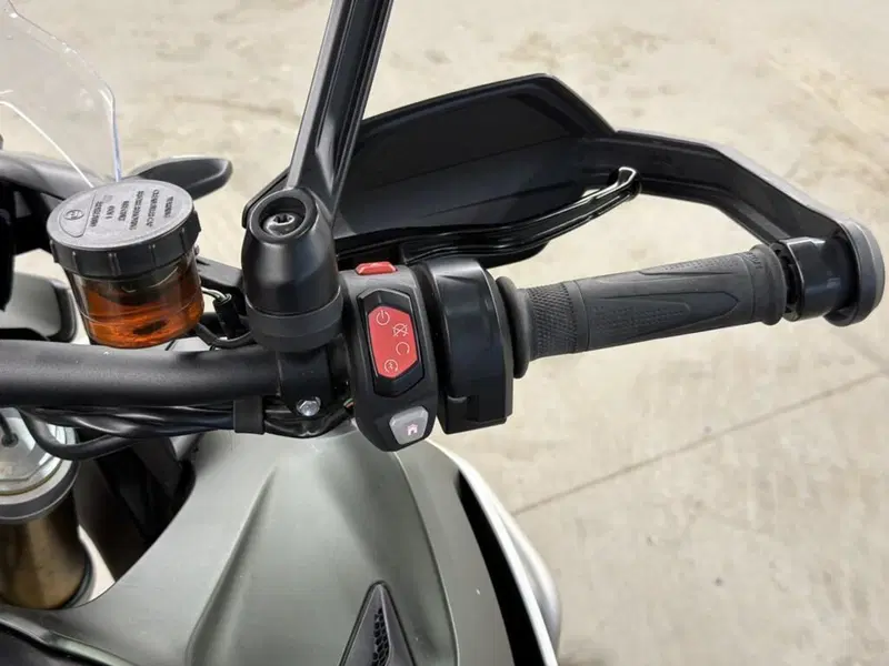 Triumph Tiger 1200 Rally Explorer (2022 - 23) (15)