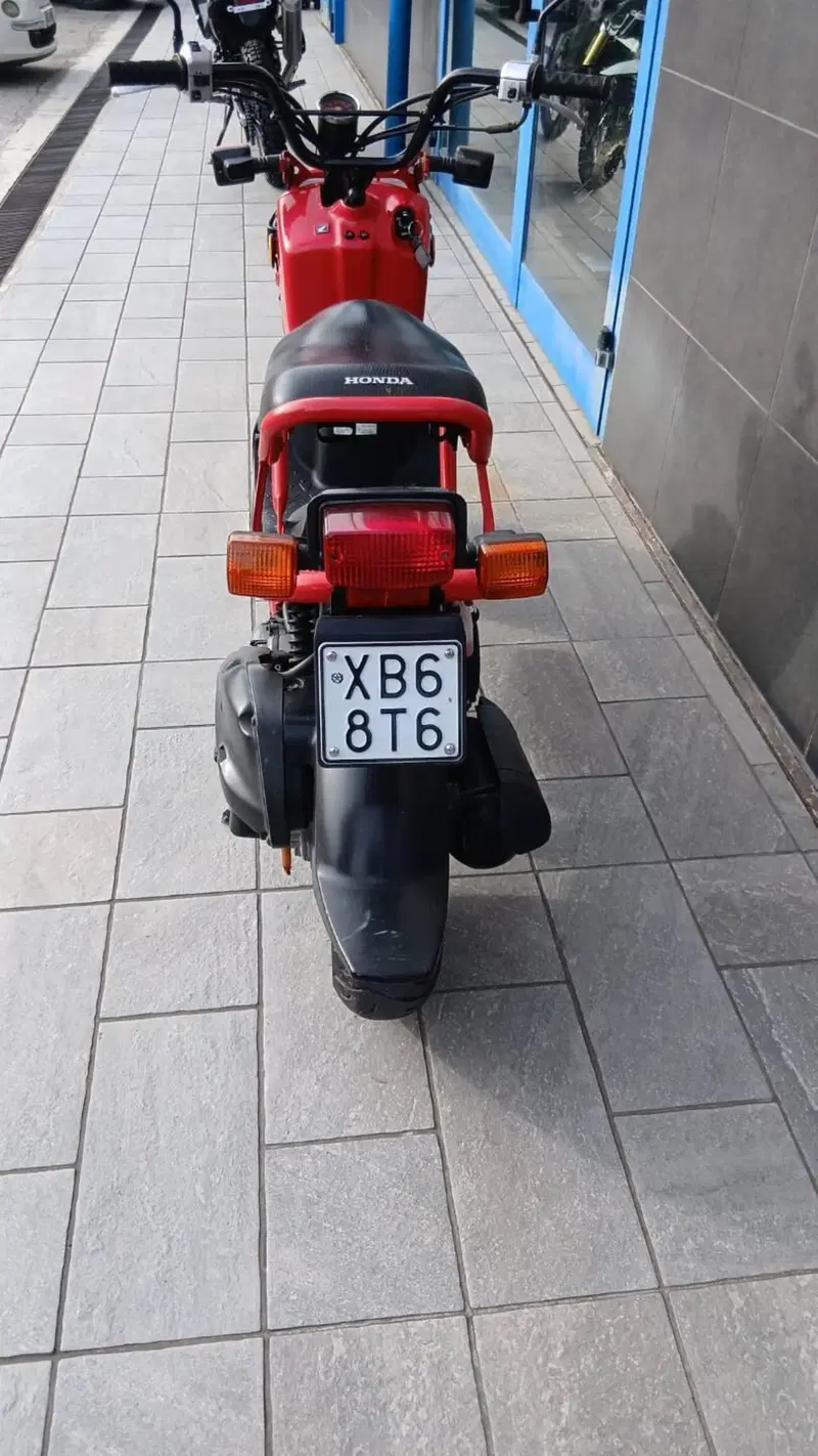 Honda Zoomer (2)