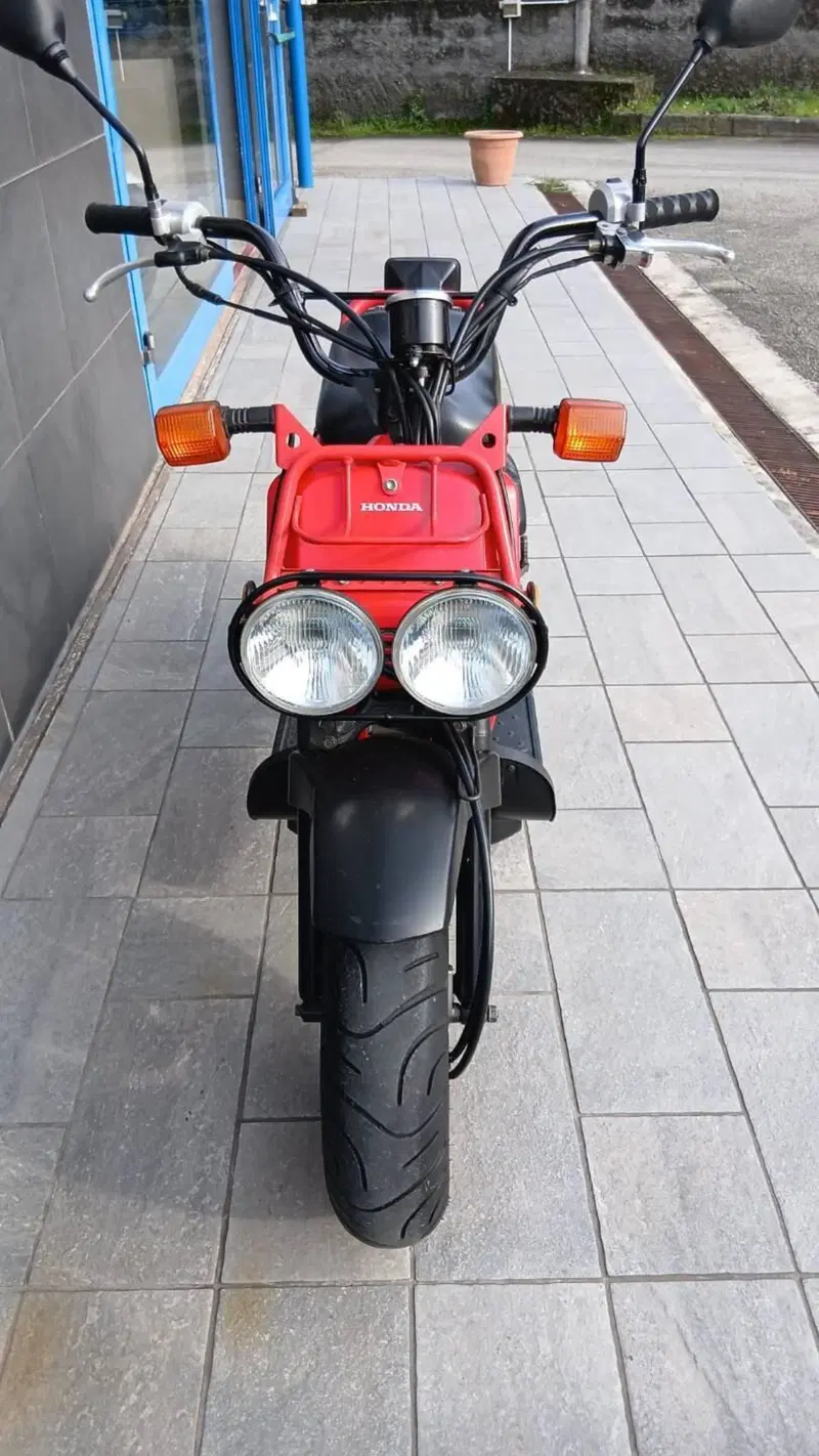 Honda Zoomer (3)