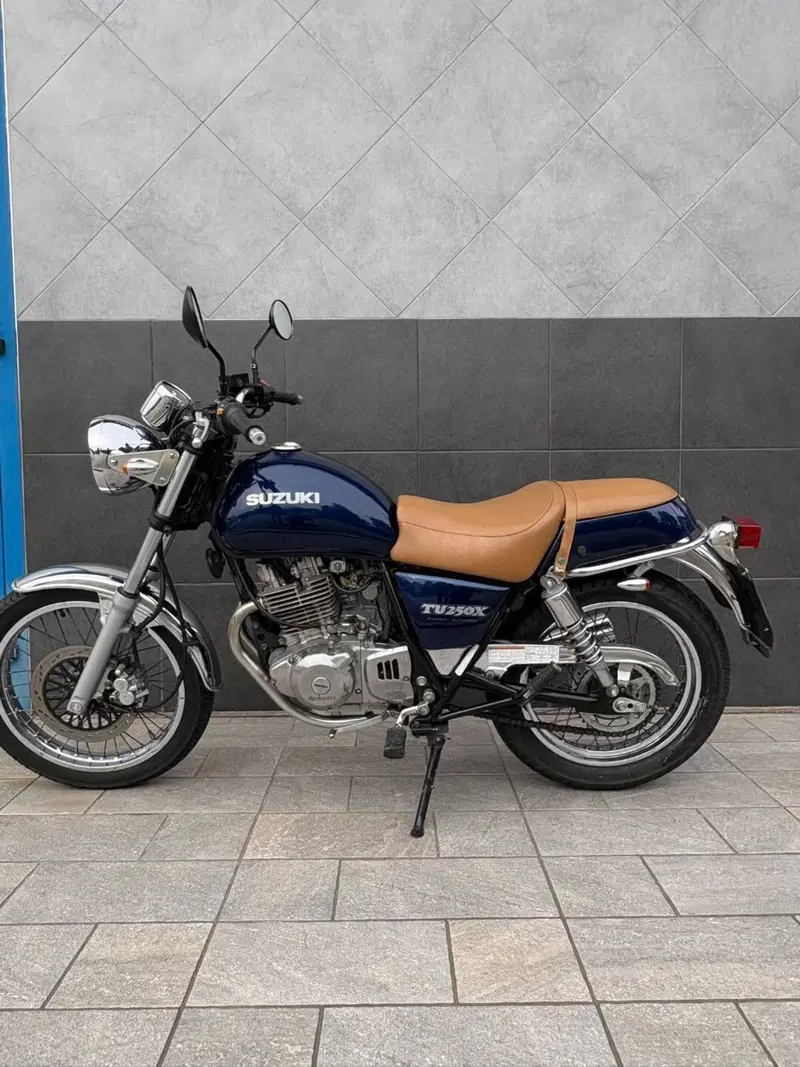 Suzuki TU 250 X (1997 - 03) (7)