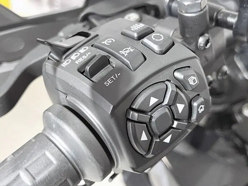 Harley-Davidson Pan America 1250 (2020 - 25) (3)