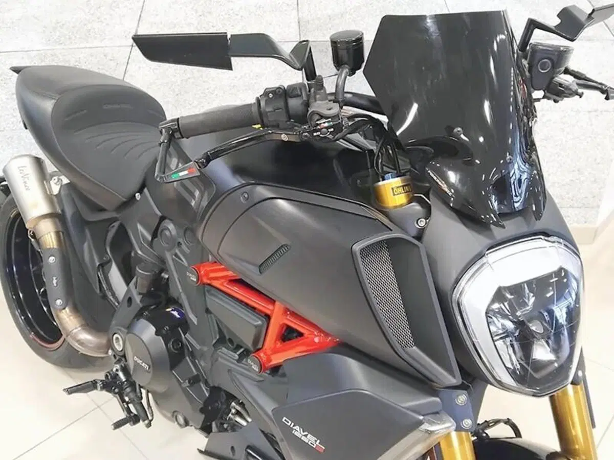 Ducati Diavel 1260 S (2019 - 20) (4)