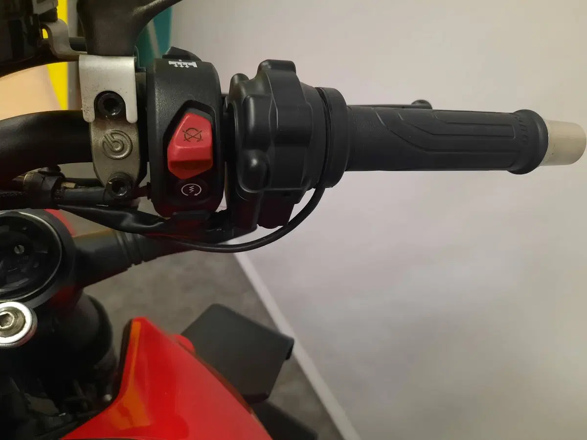 Ducati Streetfighter V4 1100 (2021 - 22) (11)