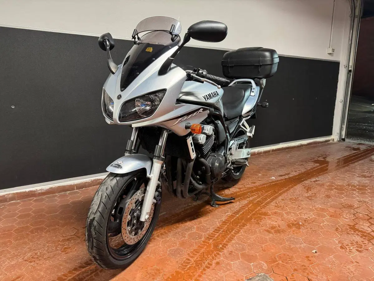 Yamaha FZS 600 Fazer (2002 - 03) (3)