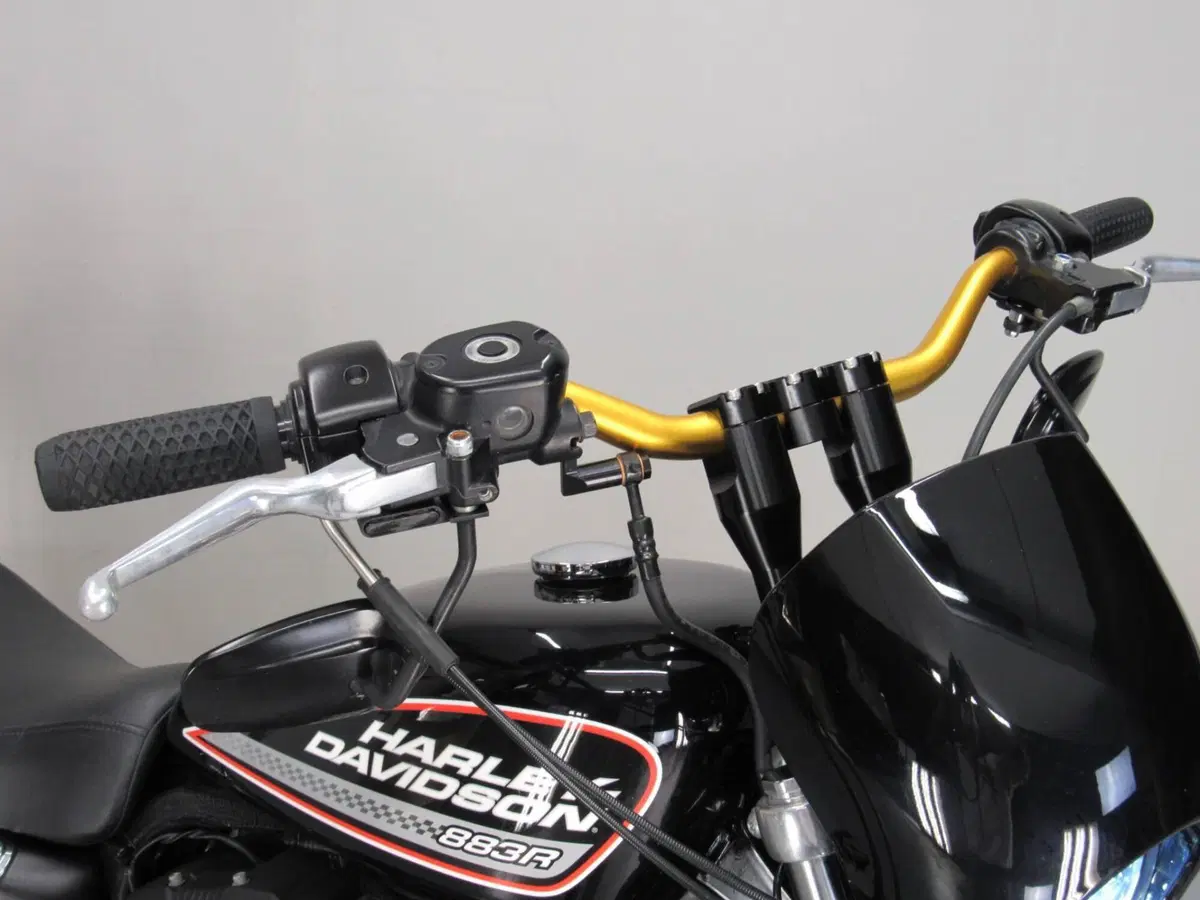 Harley-Davidson 883 R (2008 - 16) - XL 883R (13)