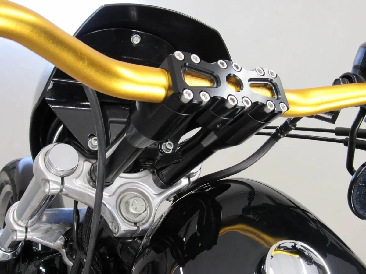 Harley-Davidson 883 R (2008 - 16) - XL 883R (17)