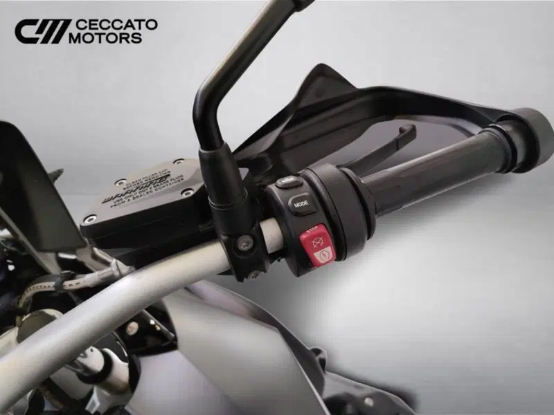 Bmw R 1250 GS (2019 - 20) (9)
