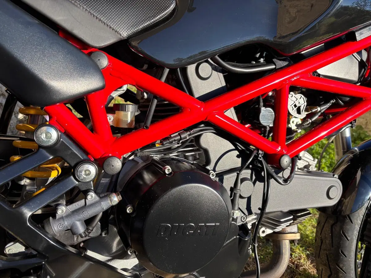 Ducati Monster 695 (2006 - 08) (11)