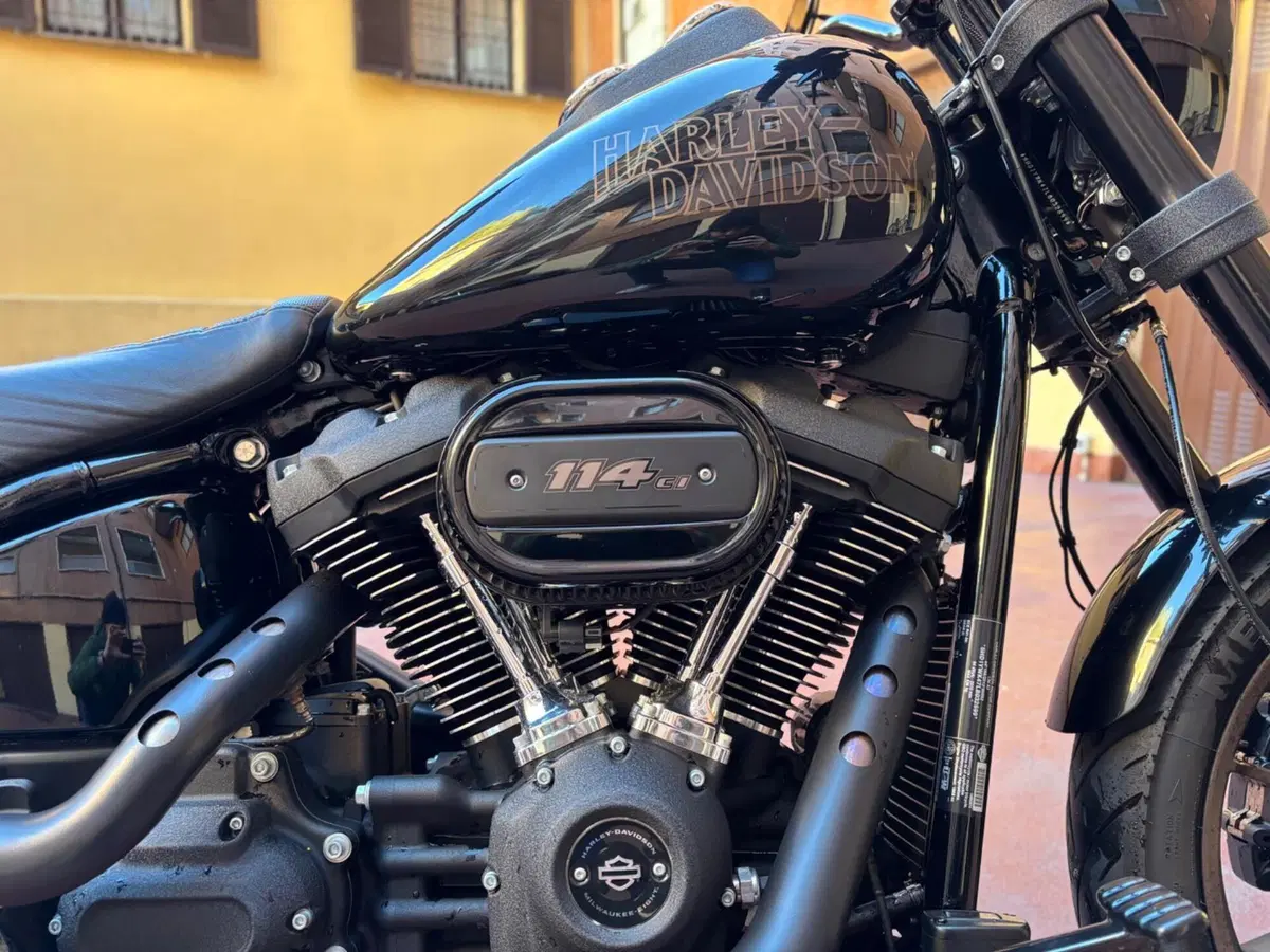 Harley-Davidson Low Rider S (2022 - 24) (5)