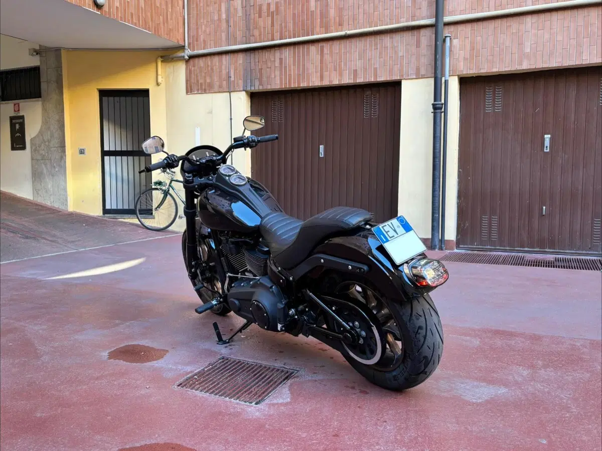 Harley-Davidson Low Rider S (2022 - 24) (6)