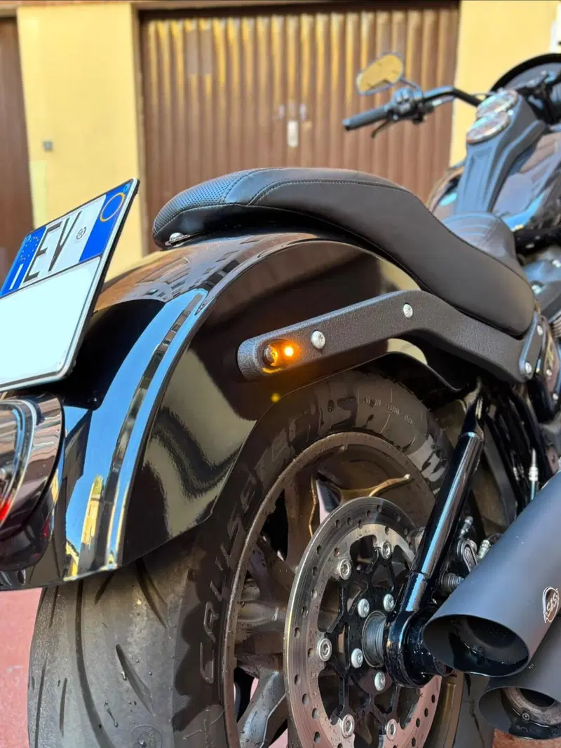 Harley-Davidson Low Rider S (2022 - 24) (7)