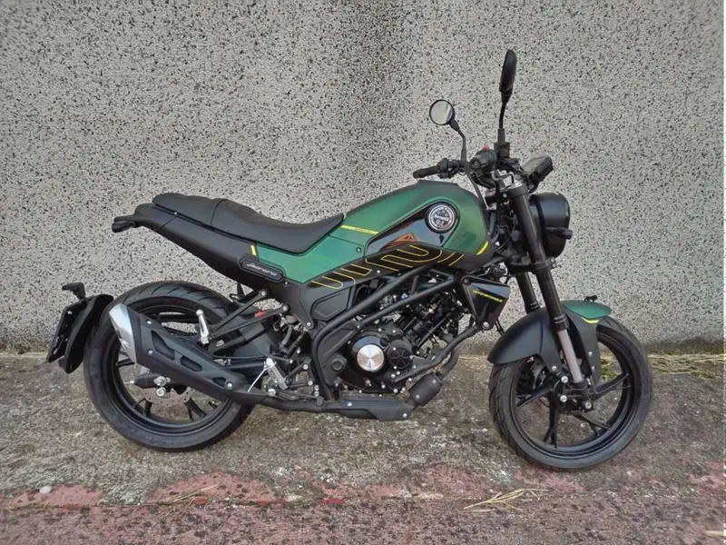 Benelli Leoncino 250 (2021 - 25) (4)
