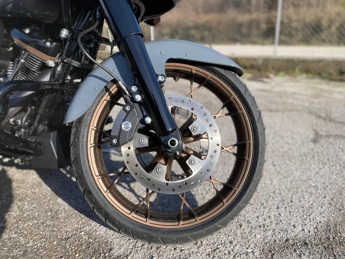 Harley-Davidson Road Glide ST (2022 - 23) (8)