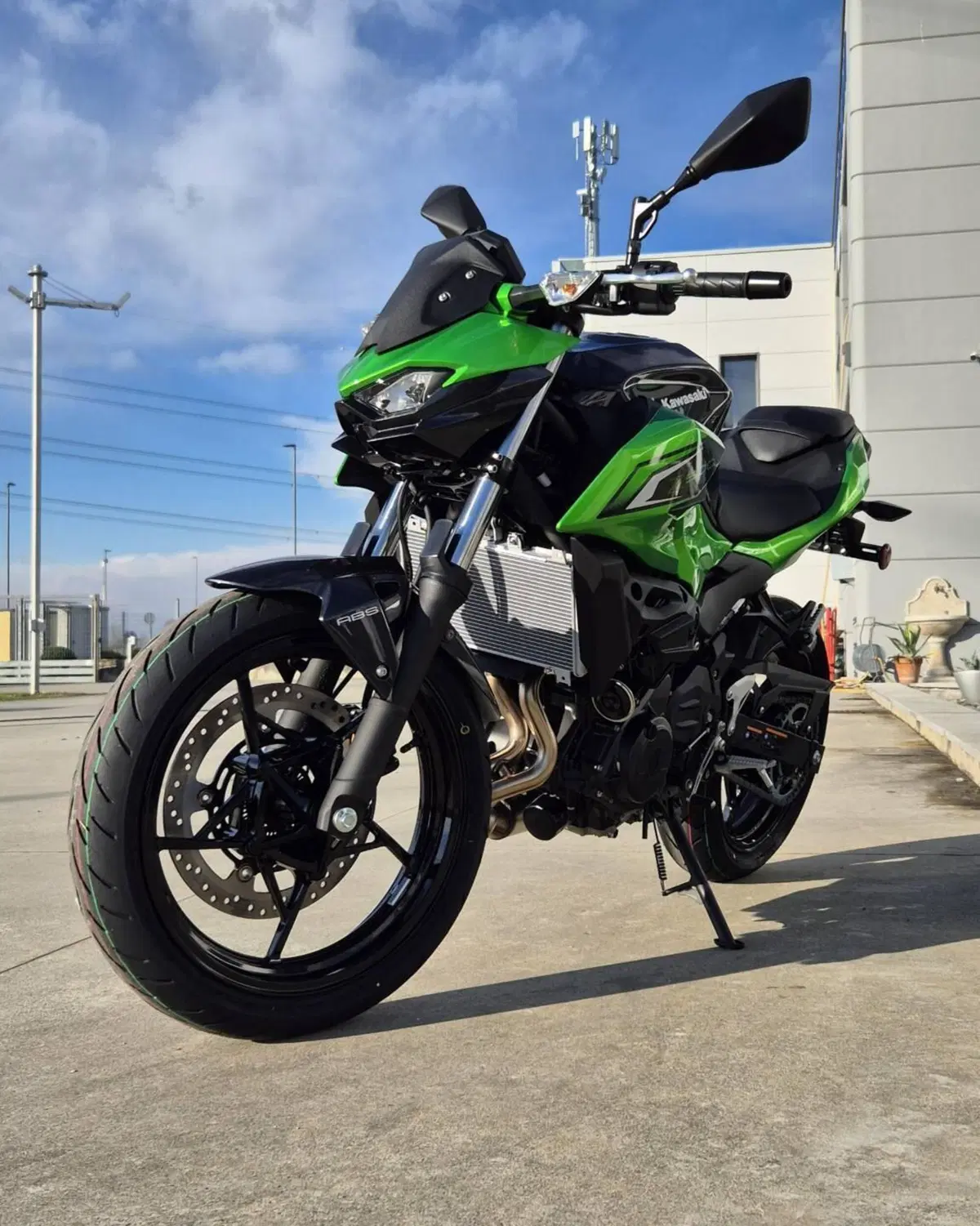 Kawasaki Z 500 (2024 - 26) (4)