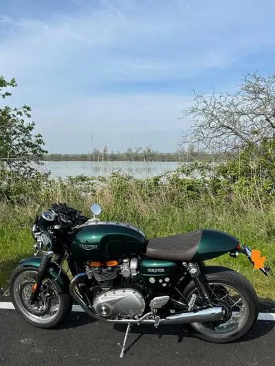 Triumph Thruxton 1200 R (2017 - 20) usata